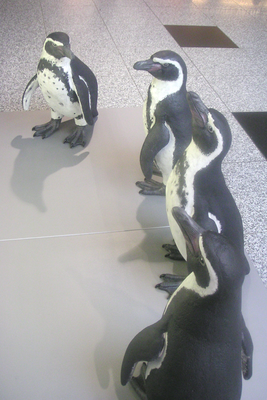 Dunhill, Pinguin-Dummy, lebensgroß