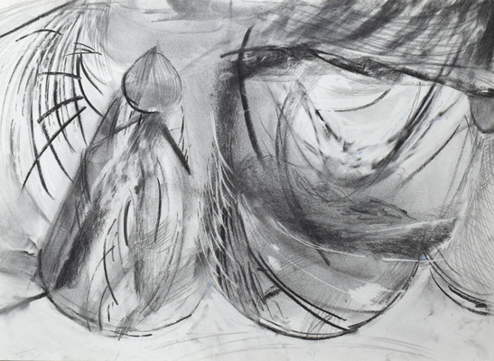 diorama drawing　2023　42.0×59.4cm　紙、木炭、鉛筆