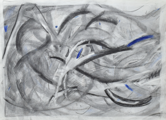 diorama drawing　2023　42.0×59.4cm　紙、木炭、鉛筆、色鉛筆