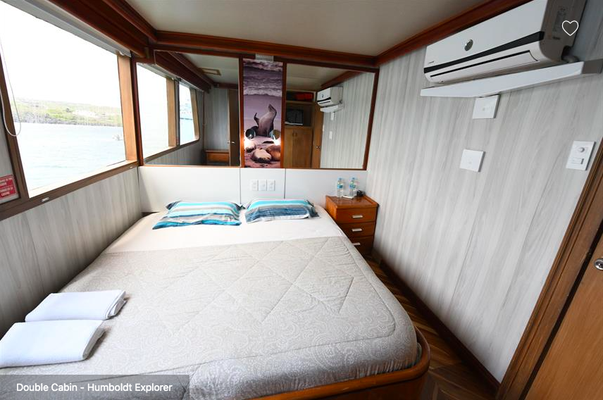 Galapagos Shark Diving - double bed cabin of the Boat dive trip Galapagos Islands