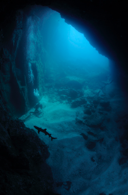 Höhlentauchen in Cocos, ©Underseahunter Group