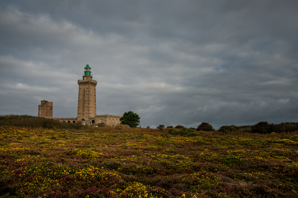 Am Cap Frehel