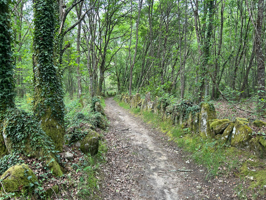 Uralte Wege