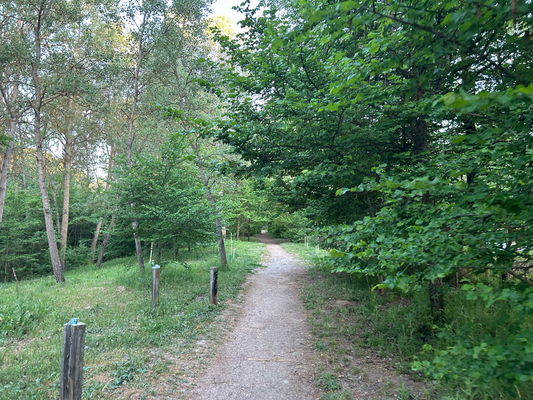 Wunderschöner weg etwas abseits vom Camino