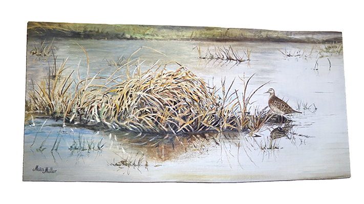 MatsMüller, Tuvsnäppa, Pectoral Sandpiper, 59x29cm