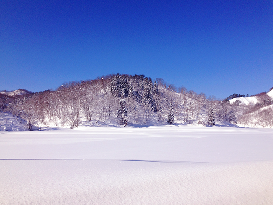 ２月　雪景色（宇津沢）Snow scene in February