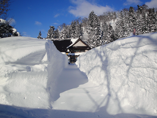 ３月　玄関へ続く雪の壁  (岩倉)  Snow wall leading to the entrance