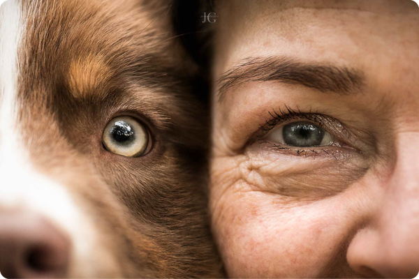 hund & mensch