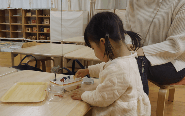 ステッラコースの様子