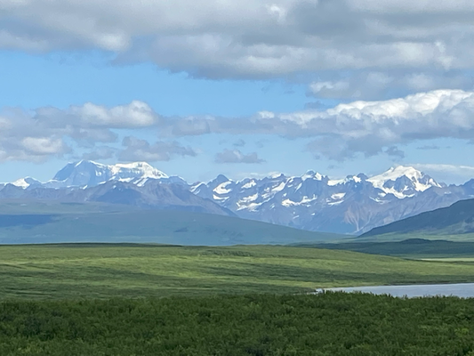 Bergkette Alaska Range am Horizont