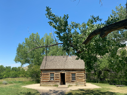 Ein wenig bekannter, aber auch schöner Nationalpark ist der Theodore Roosevelt Park in North Dakota: Das ist das Haus vom Nikolaus, äh, die nachgebaute Hütte, von der aus Teddy zum Jagen ging.