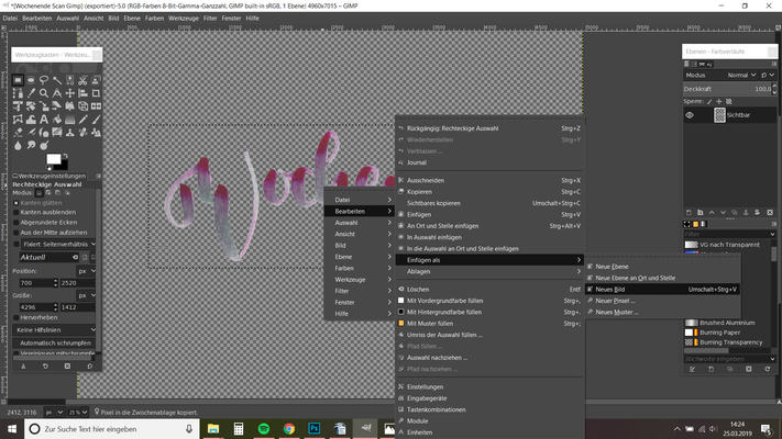 10. als neues Bild einfügen