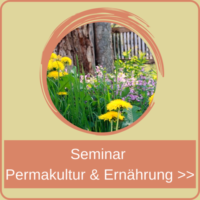Seminare in Permakultur und Ernährung.