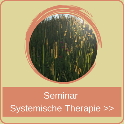 Seminare in Systemischer Therapie
