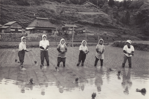 1970年5月　堂ヶ原集落　田植え