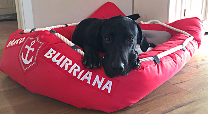 Hundeboot mit glücklichem Besitzer