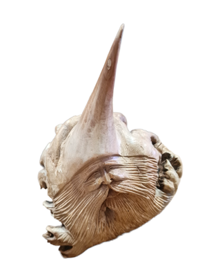 h:20cm
