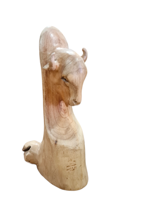 h:21cm