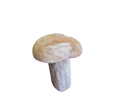 h20cm