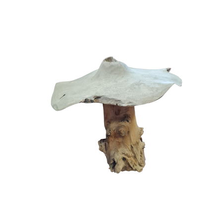 h30cm