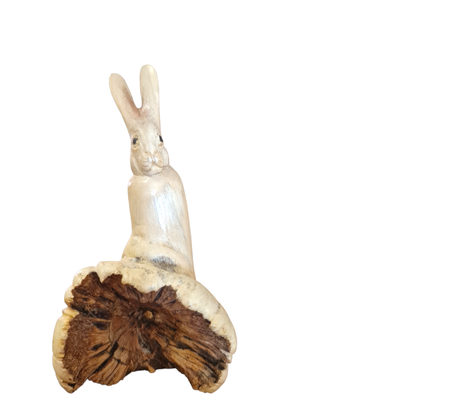 h:11cm