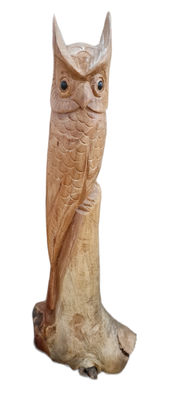 h:30cm