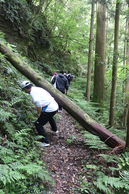 野山を分け入って妖怪探訪