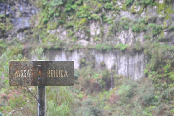 Wasserfall Madeira