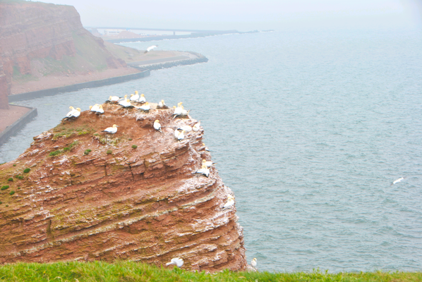 Helgoland