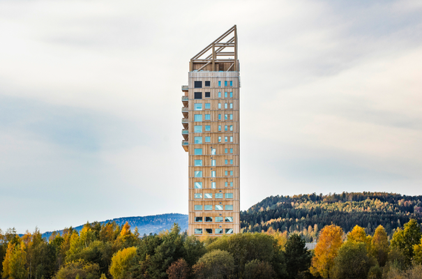 Tower of lake Mojosa Voll Arkitekter