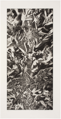 Elegy      銅版画　２０１７−２０１８年　　第１９回サルセル国際版画ビエンナーレ展
