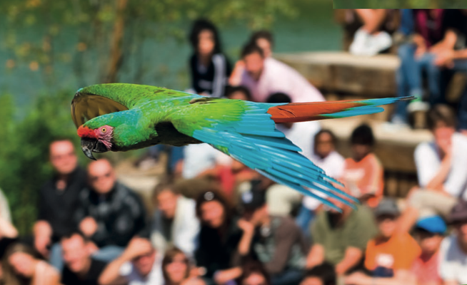 Parc des oiseaux, Villars les Dombes