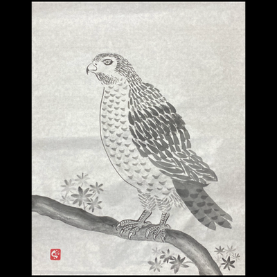 #sachi-studio　#sumi-e　#bird　# 鳥　#hawk　#鷹