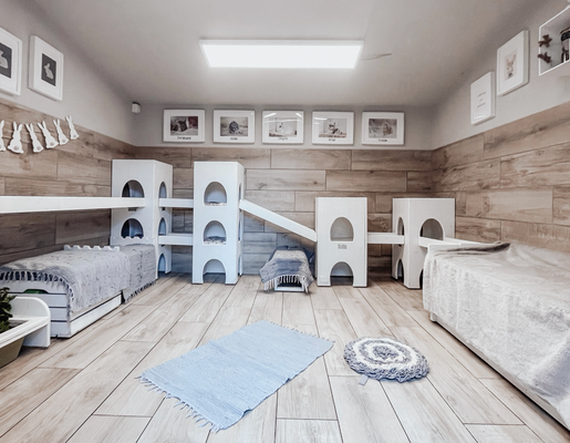 Burgzimmer der Kaninchen