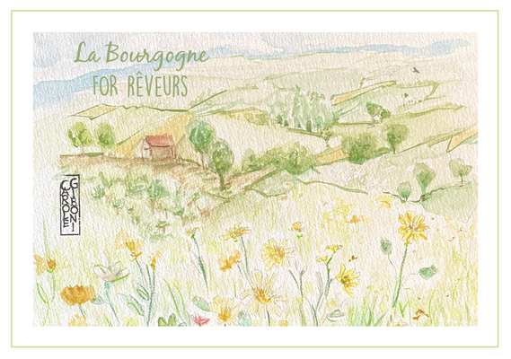 brionnais bourgogne aquarelle fleurs paysage 