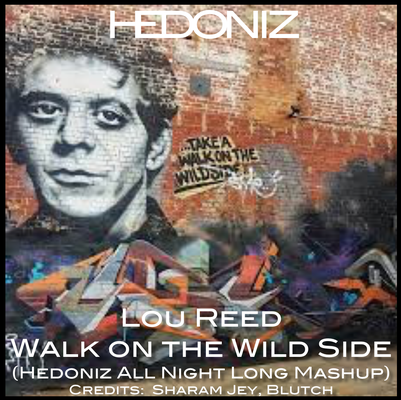 Walk On The Wild Side (Hedoniz All Night Long Extended Mashup)