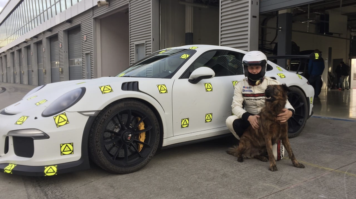 Porsche GT3 / Uwe Mansshardt