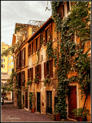 Gasse at Rome