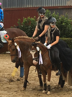 Aktuelles - Reiterverein Kronsberg e.V.