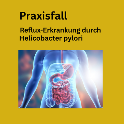 Zum Praxisfall