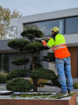 Eberhard Gartenbau Ag Kloten Gartenunterhalt 