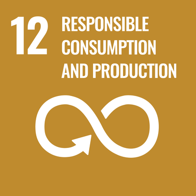 sdg12 responsible consumption and production