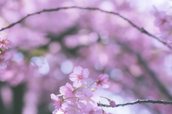 ４月