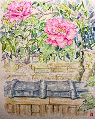 『法然院 椿』（18×22㎝）