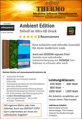Ambient Edition