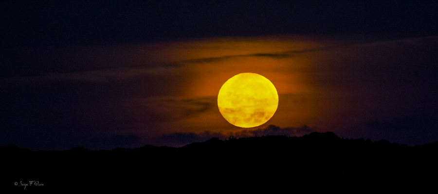 Ce dimanche 07/09/2025 à 05h54, voilà que Mme Lune refait des siennes 😉 C'est la pleine lune du Maïs, dite de sang, en plein coucher sur le plateau de Charlannes, côté Liournat (St-Sauves d'Auvergne) dans le Massif du Sancy, vue de Murat-le-Quaire. Le sp