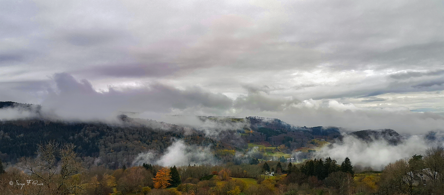 Brumes d'automne - Massif du Sancy - Auvergne - France