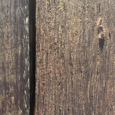 77/Twenty26: The early bird catches the camouflage.