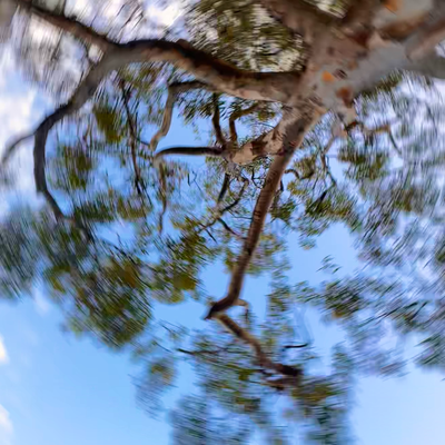 35/Twenty26: Nature's twirl