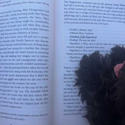 53/Twenty26: The story of my life, reading in the park with Izzy